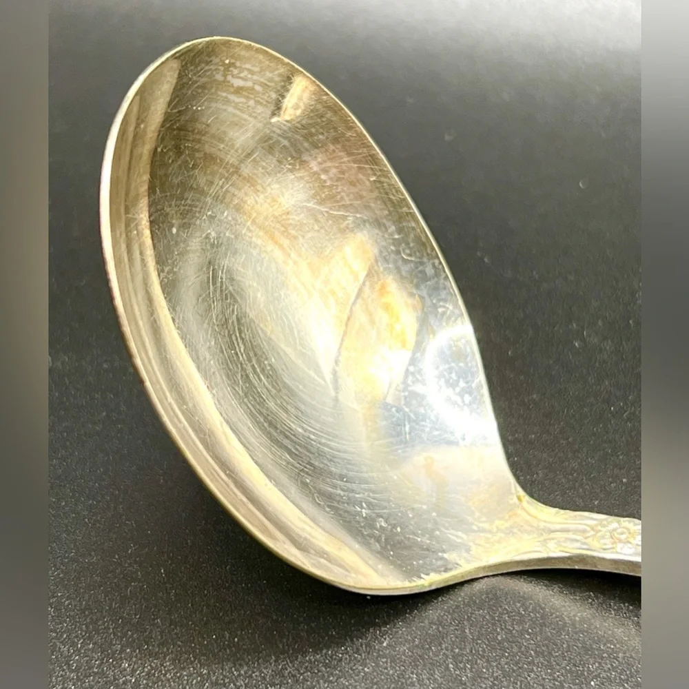Vintage Wm A Rogers Oneida Silver Plated Vanessa Francesca Ladle Spoon 6.5 in